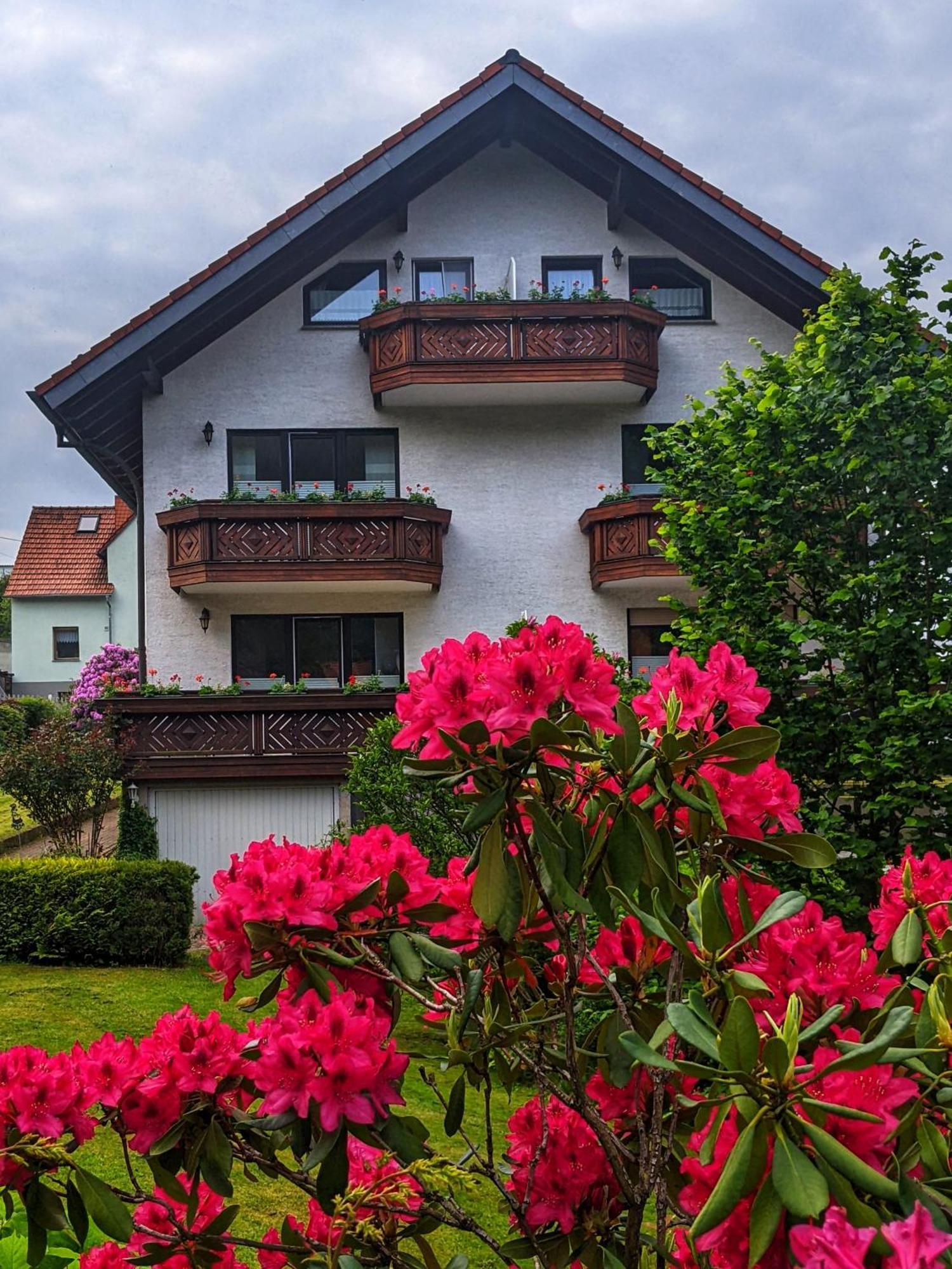 Gästehaus Regina Ruhla Exterior foto